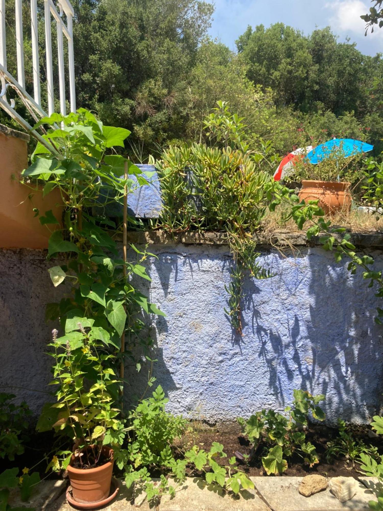 Ferienwohnung Kokkini Peach House Kokkínion Exterior foto